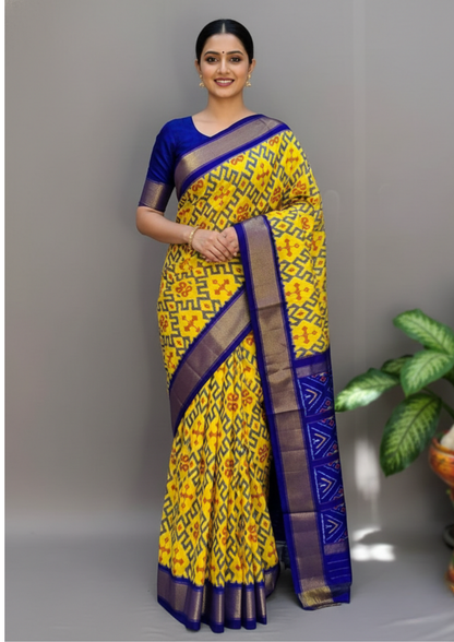Heritage Ikkat Silk Saree | Double Weave | Silk Mark Authentic